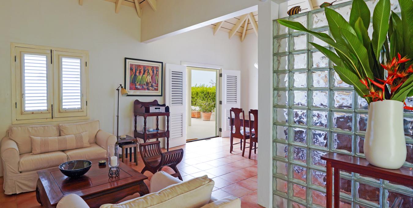 Morning Glory Morning Glory