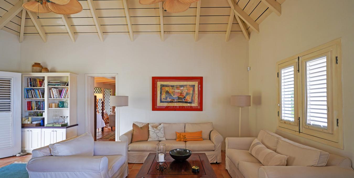 Morning Glory Morning Glory