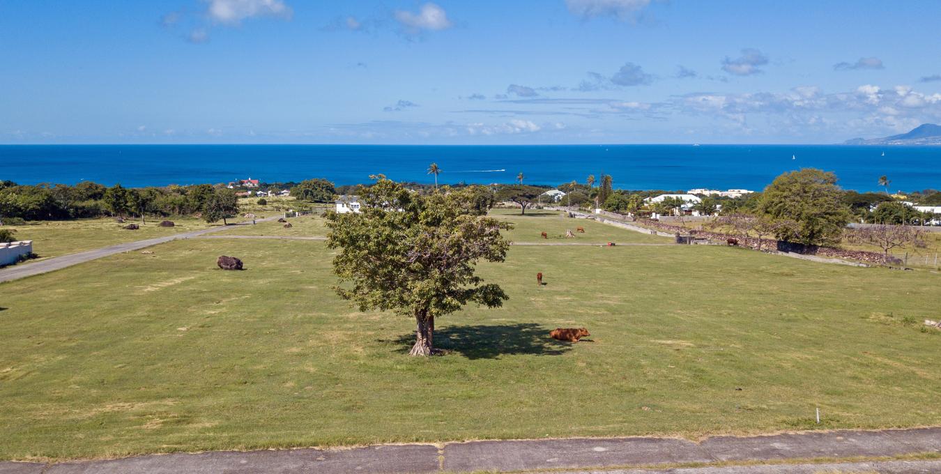 Paradise Residential Lots Paradise Residential Lots