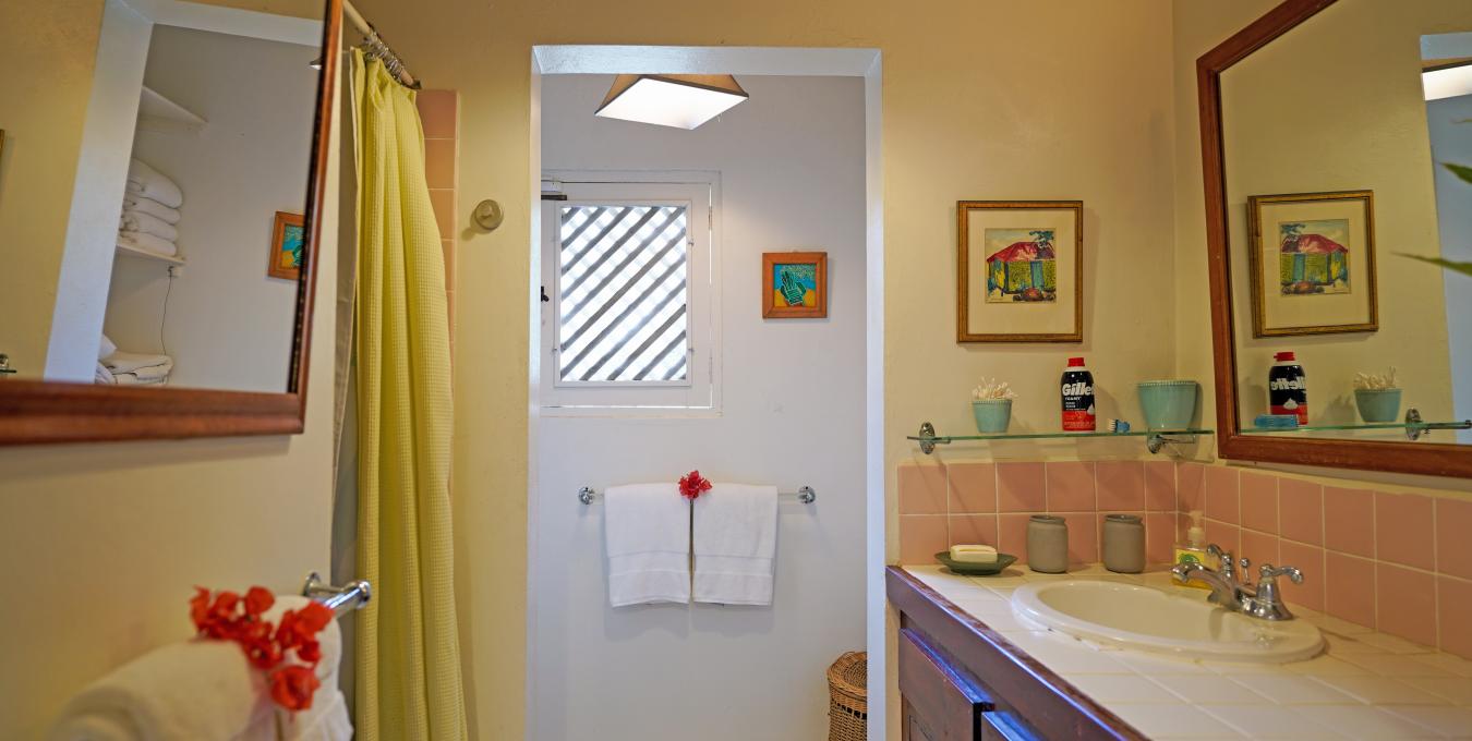 Morning Glory Morning Glory