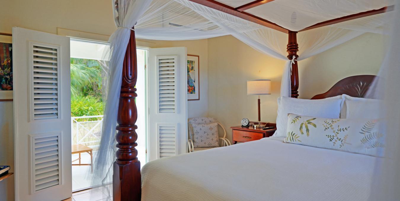 Morning Glory Morning Glory