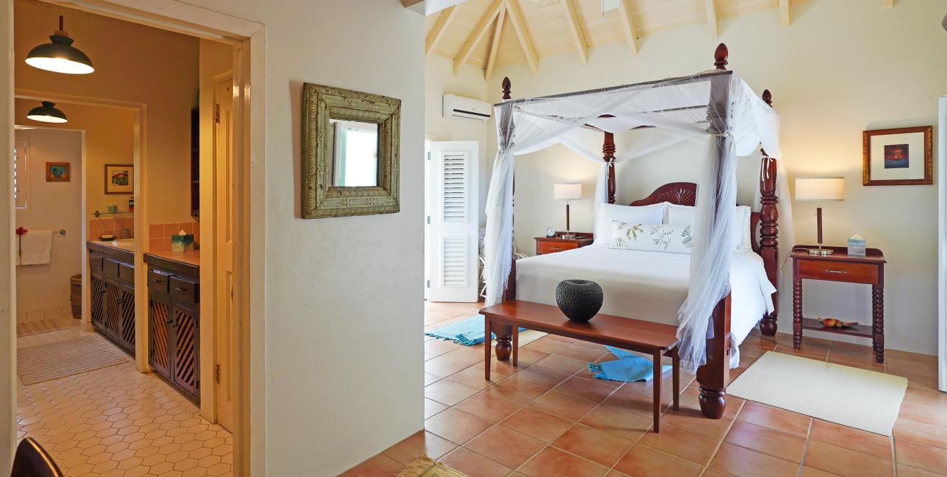 Morning Glory Morning Glory