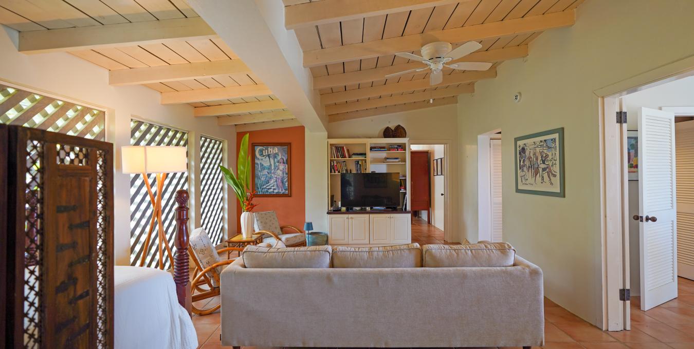 Morning Glory Morning Glory