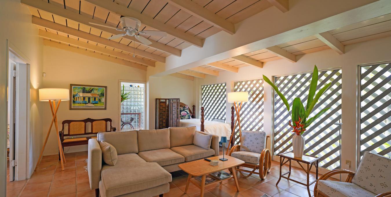 Morning Glory Morning Glory