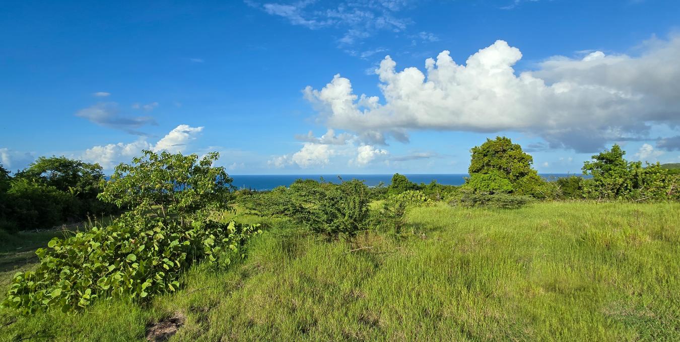 Shaws Estate Land Lot Shaws Estate Land Lot