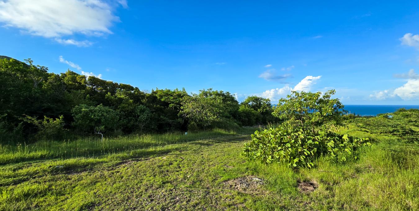 Shaws Estate Land Lot Shaws Estate Land Lot