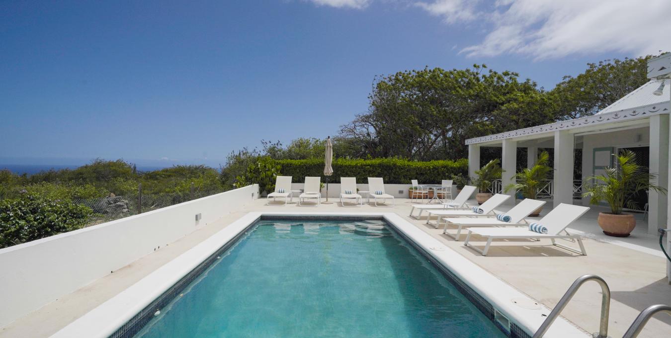 Morning Glory Morning Glory