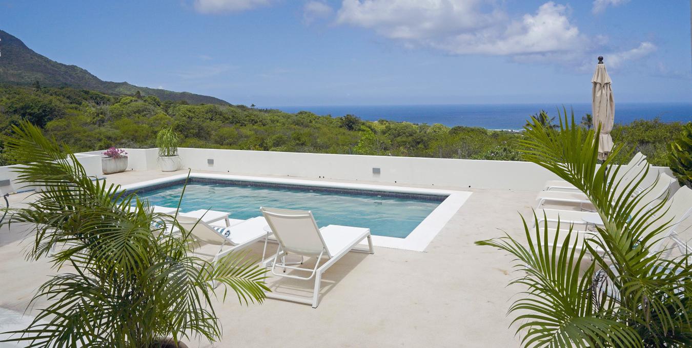 Morning Glory Morning Glory