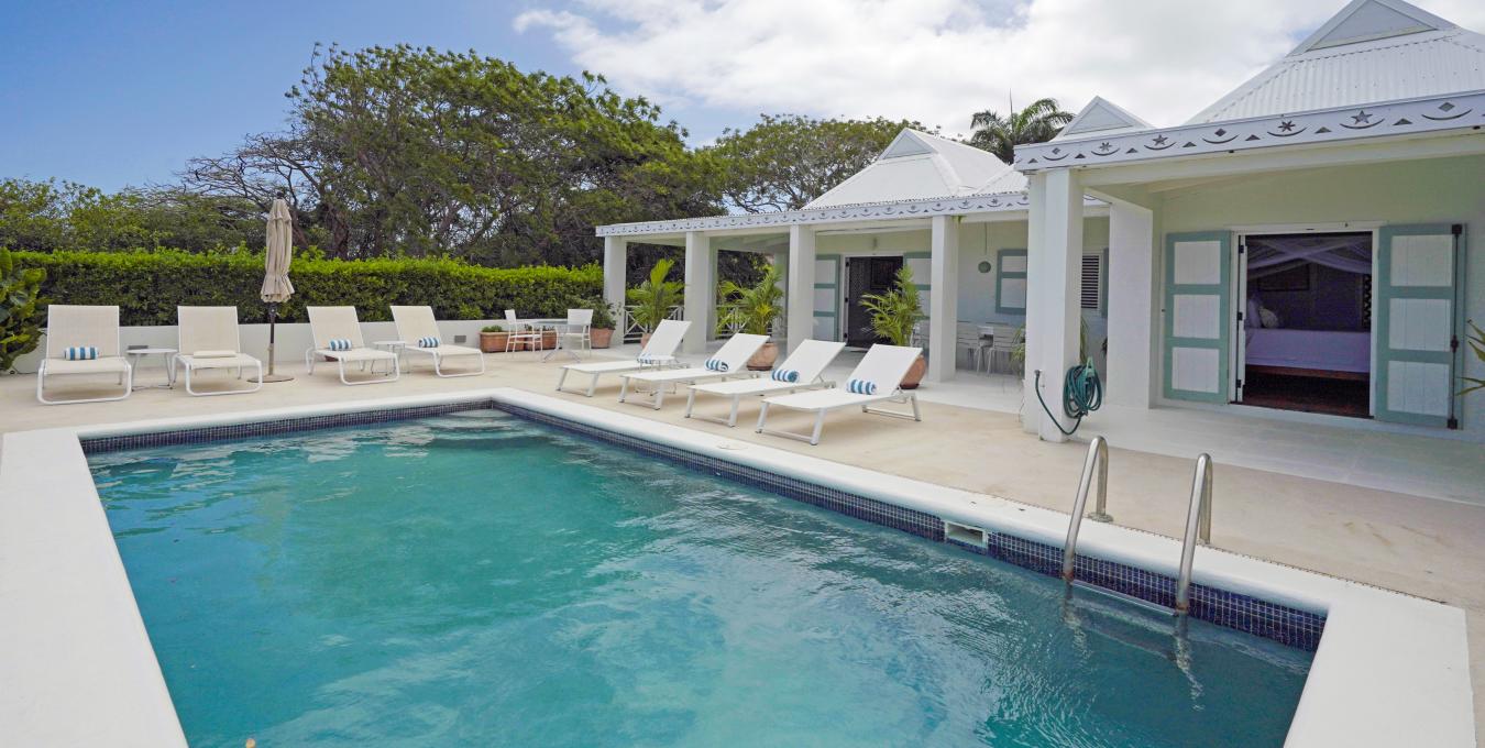 Morning Glory Morning Glory