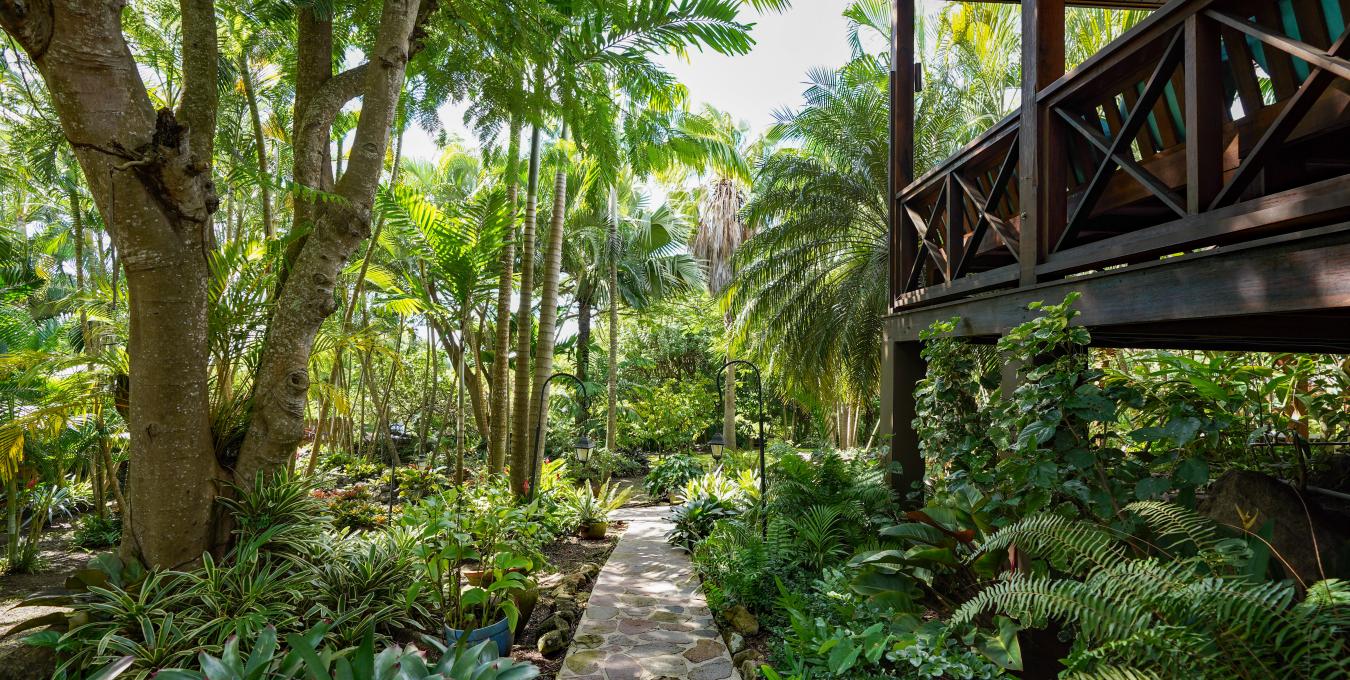 Bananas - Hospitality Investment