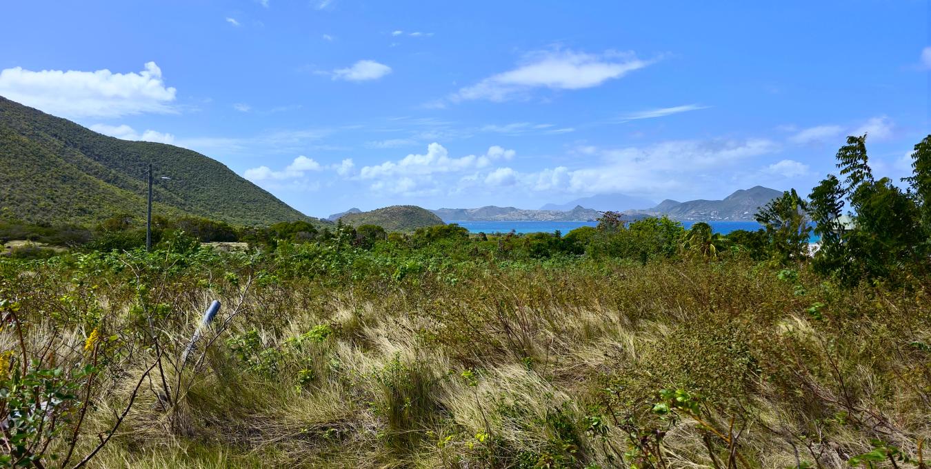 0.5 Acre Residential Lot 