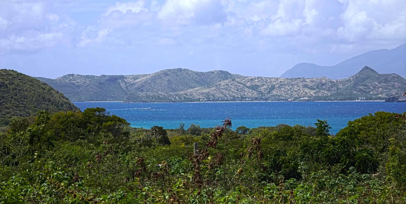 0.5 Acre Residential Lot 