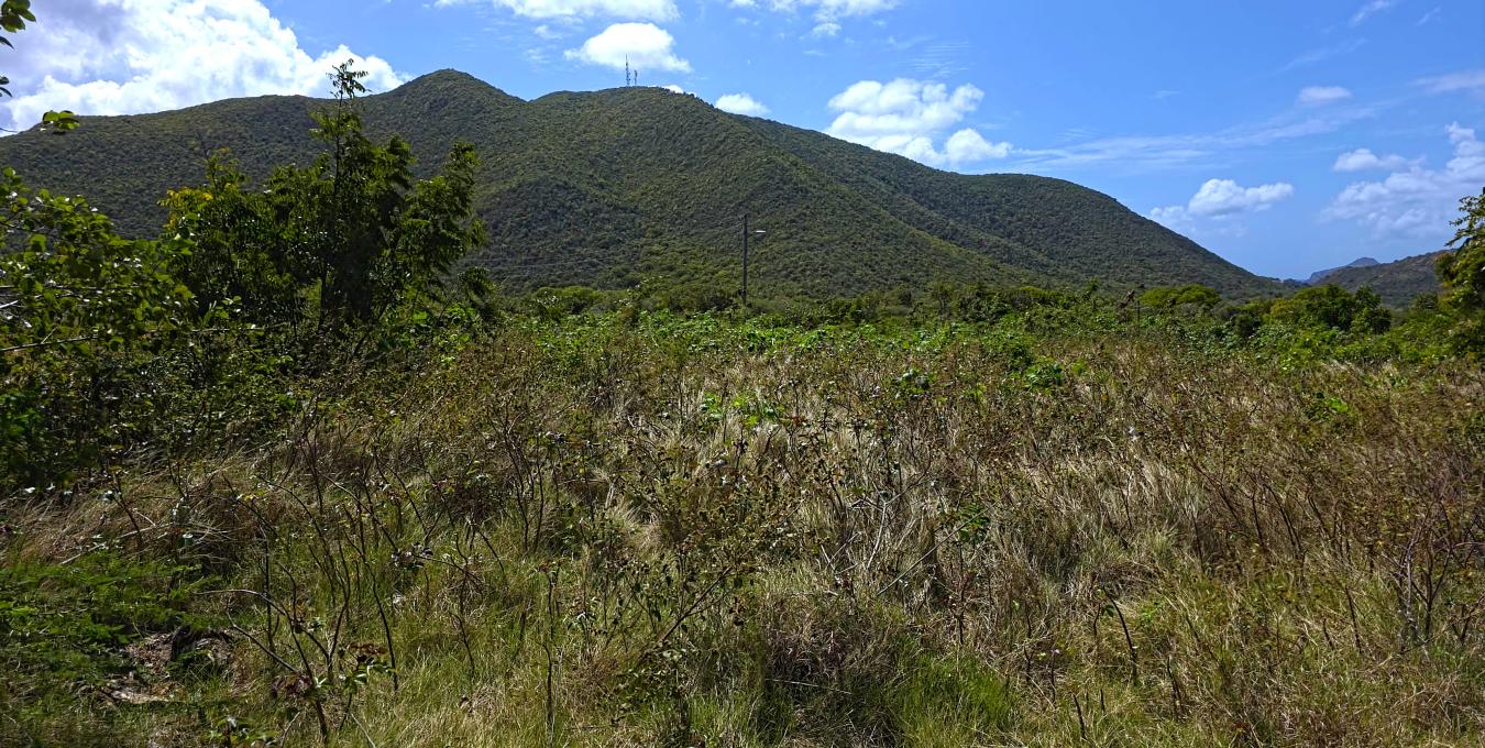 0.5 Acre Residential Lot 