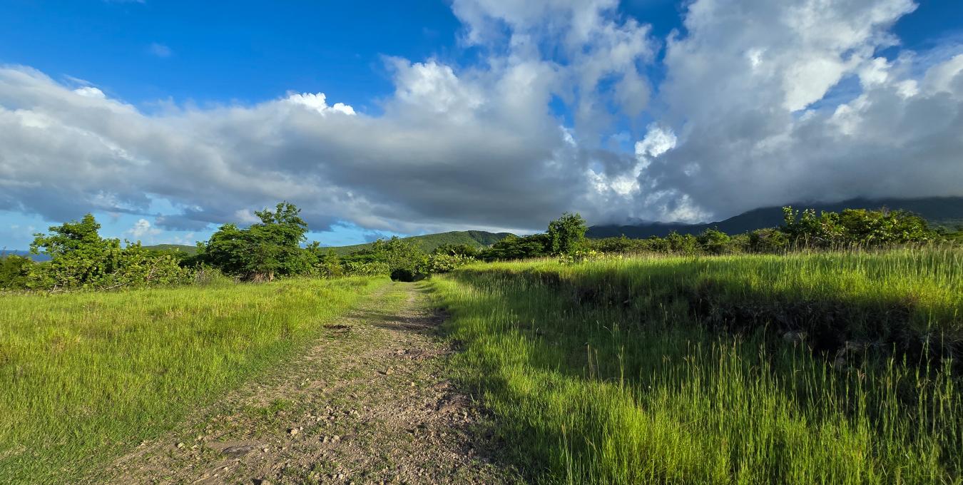 Shaws Estate Land Lot Shaws Estate Land Lot