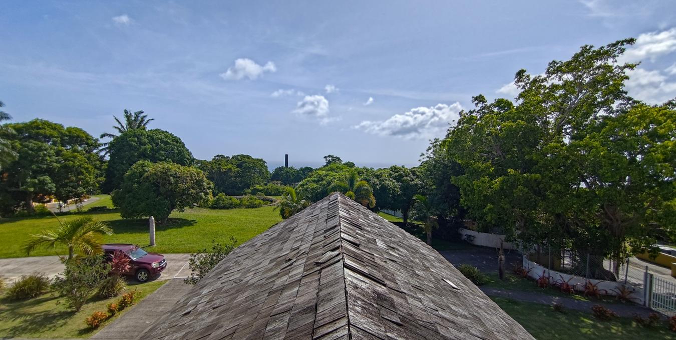 Carino 8A - Hamilton Estate