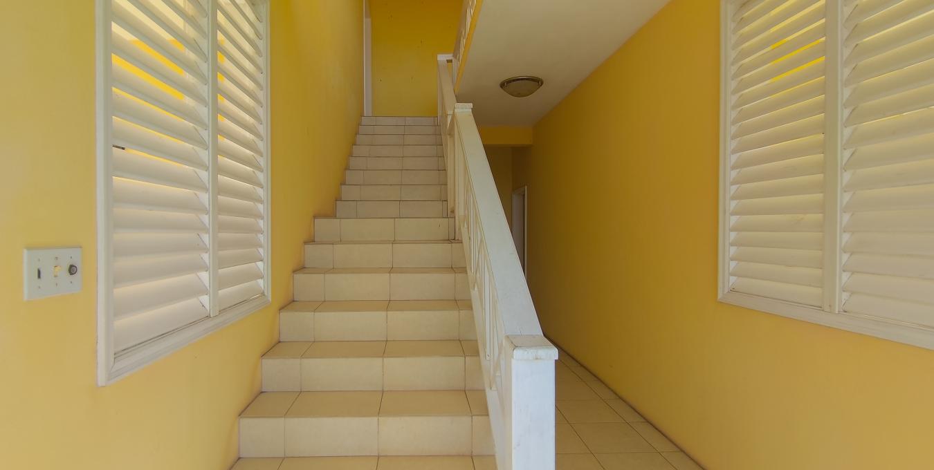 Carino 8A - Hamilton Estate