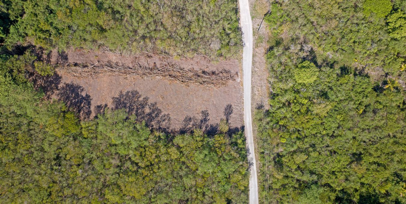 Clifton Estate Lot 1 - 1.0 Acre Clifton Estate Lot 1 - 1.0 Acre