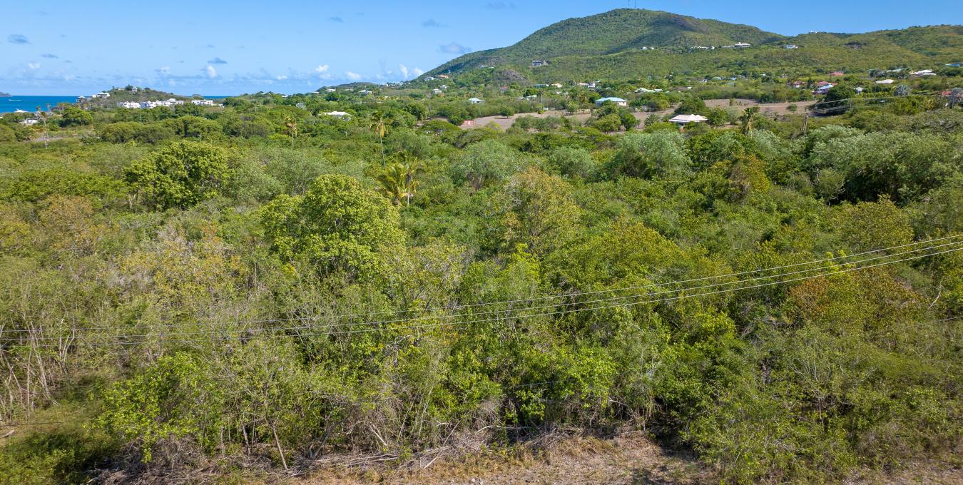 Clifton Estate Lot 1 - 1.0 Acre Clifton Estate Lot 1 - 1.0 Acre