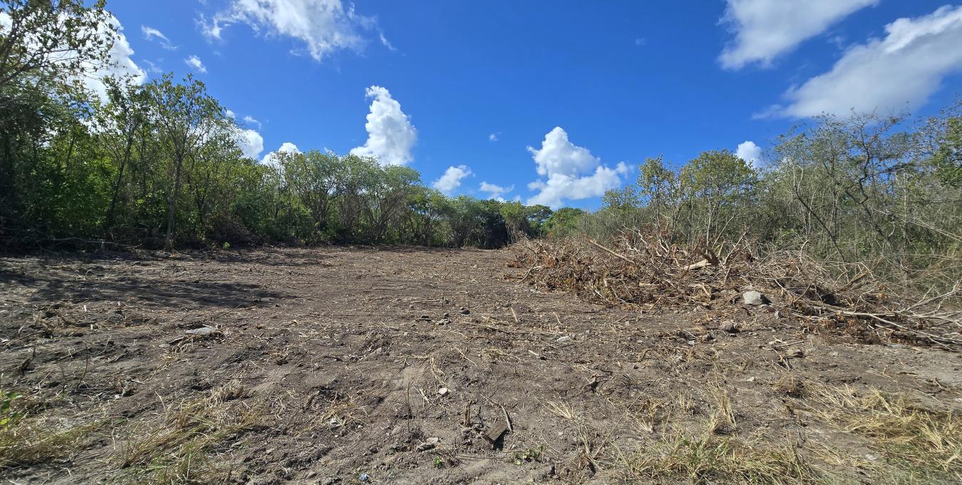 Clifton Estate Lot 1 - 1.0 Acre Clifton Estate Lot 1 - 1.0 Acre
