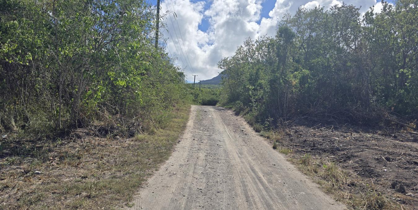 Clifton Estate Lot 1 - 1.0 Acre Clifton Estate Lot 1 - 1.0 Acre