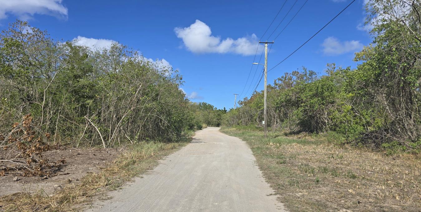 Clifton Estate Lot 1 - 1.0 Acre Clifton Estate Lot 1 - 1.0 Acre