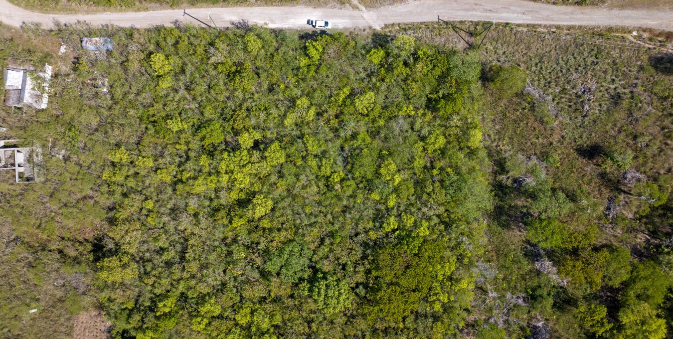 Clifton Estate Lot 2 - 1.0 Acre Clifton Estate Lot 2 - 1.0 Acre