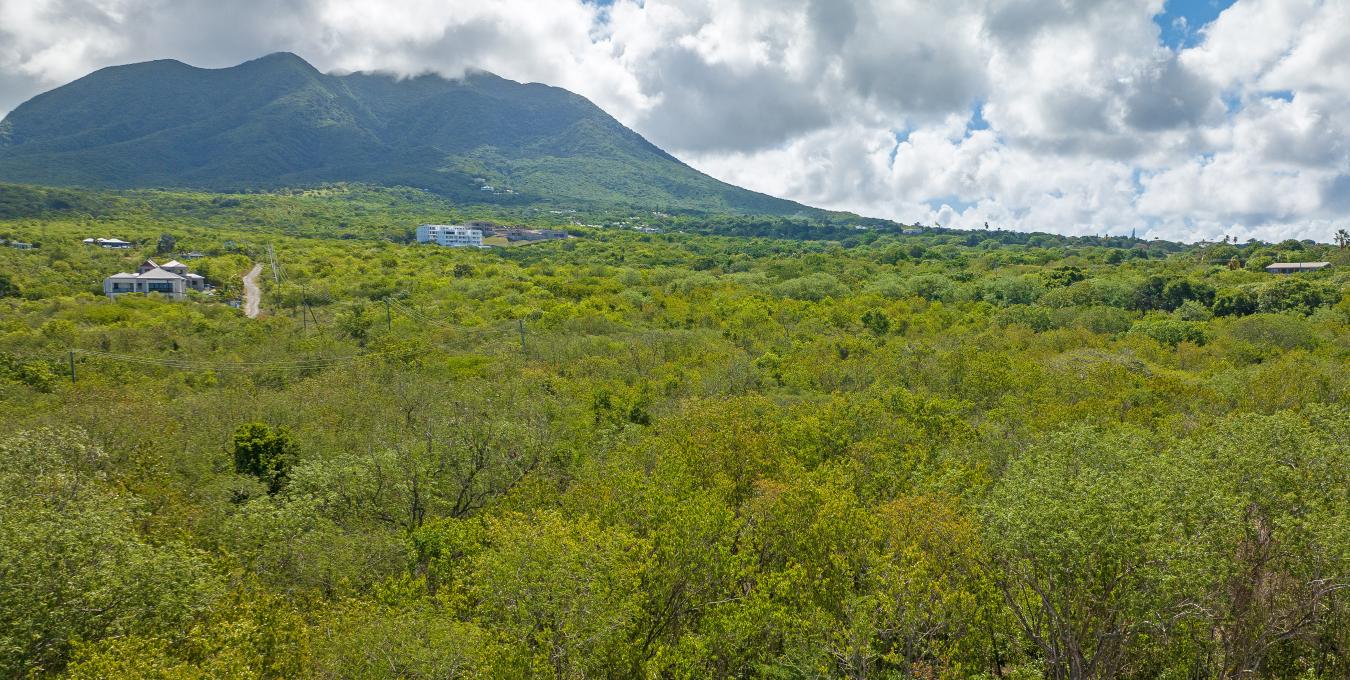 Clifton Estate Lot 2 - 1.0 Acre Clifton Estate Lot 2 - 1.0 Acre