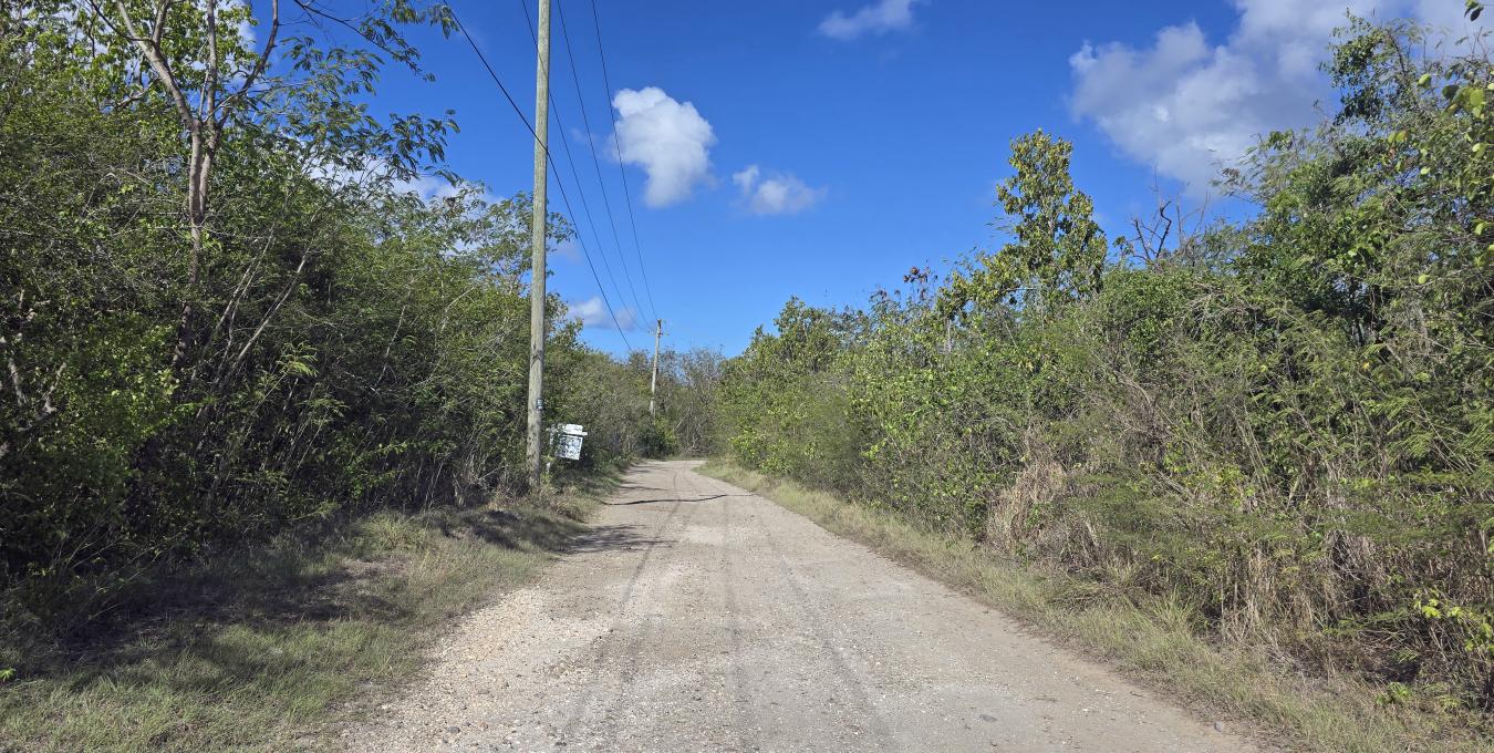 Clifton Estate Lot 2 - 1.0 Acre Clifton Estate Lot 2 - 1.0 Acre