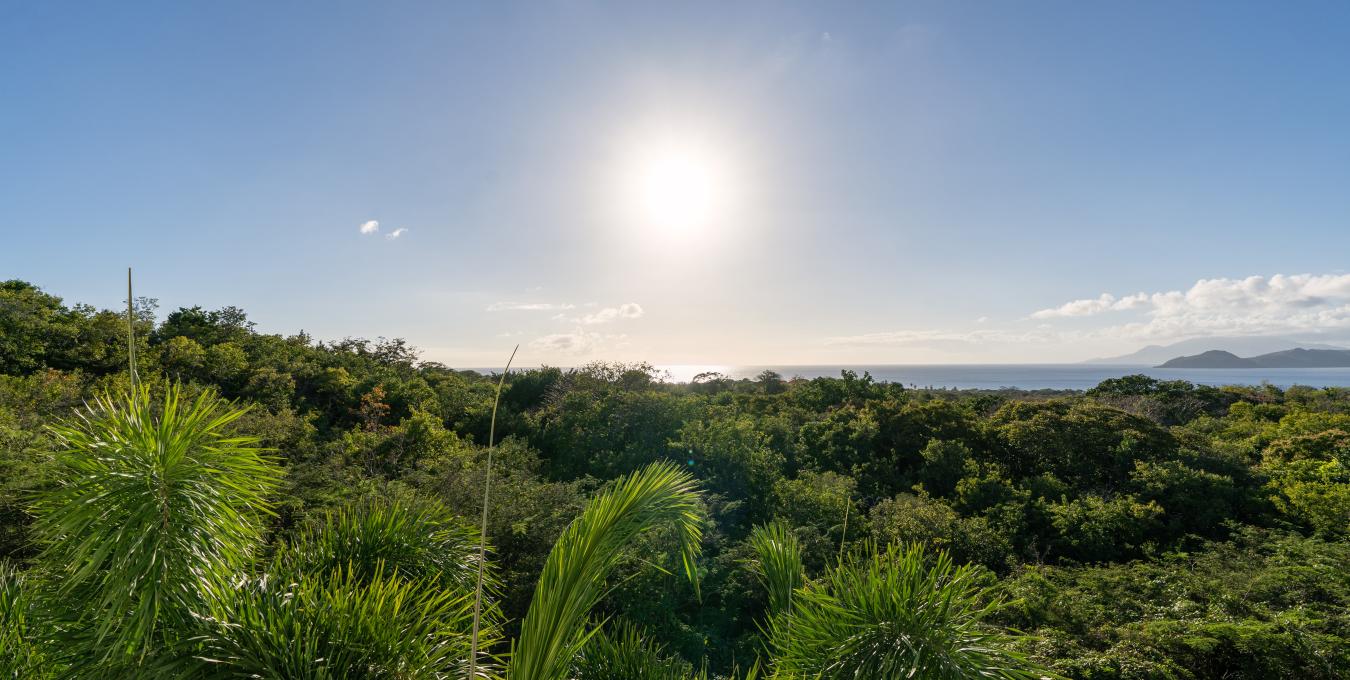 Nevisian Sunset Nevisian Sunset