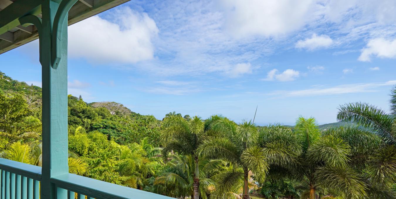 Zetland Zen Zetland Zen