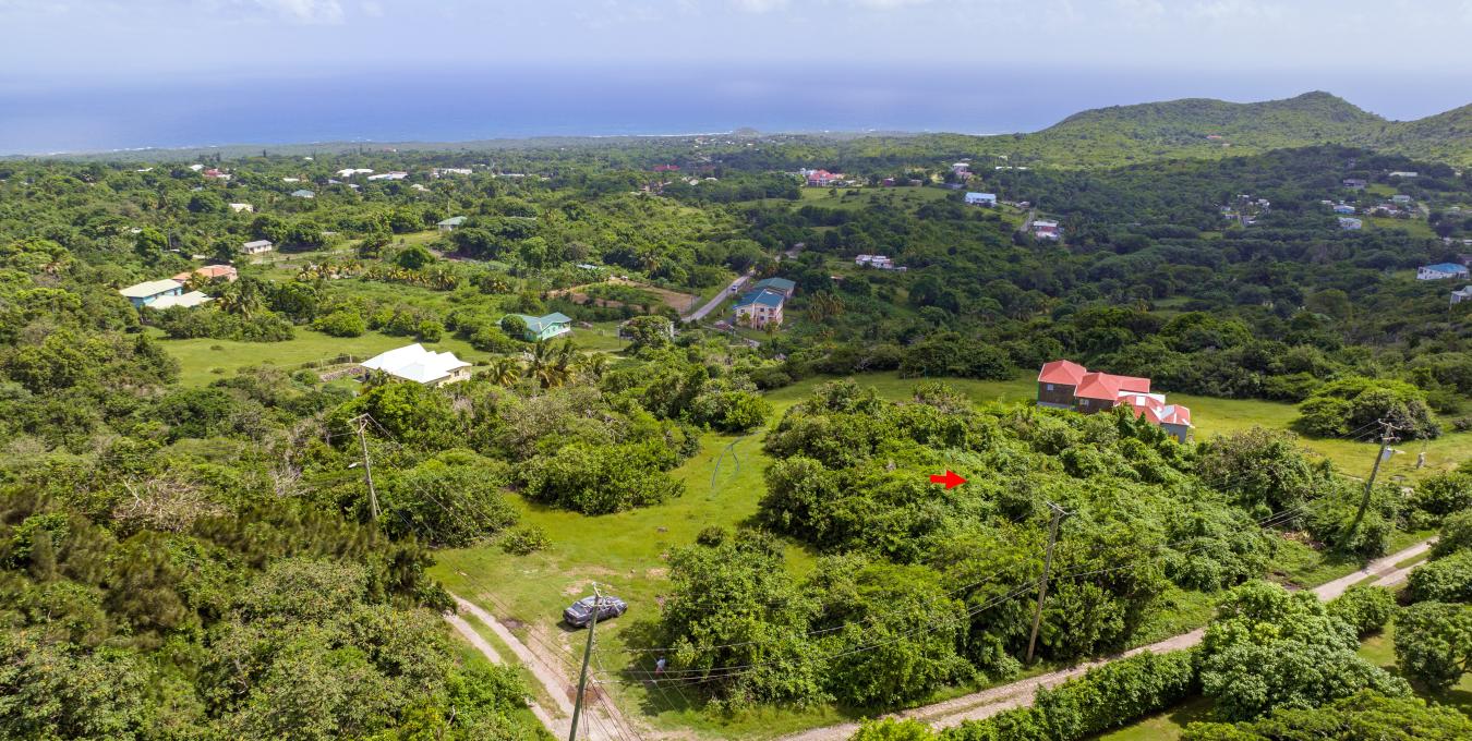 Zetland Residential Lot - SOLD Zetland Residential Lot - SOLD