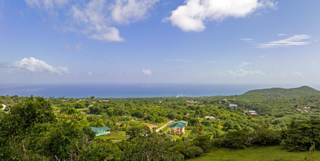 Zetland Residential Lot - SOLD Zetland Residential Lot - SOLD