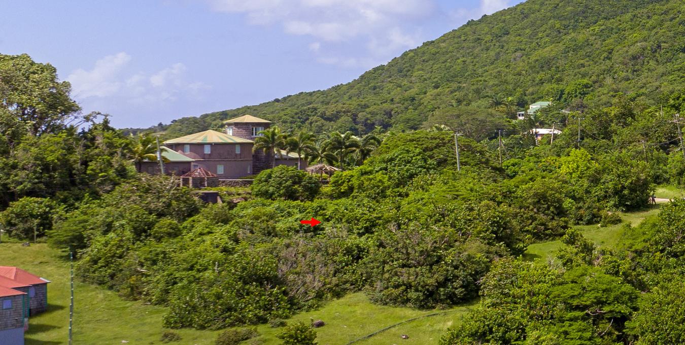 Zetland Residential Lot - SOLD Zetland Residential Lot - SOLD