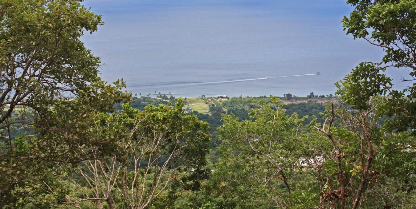 Fern Hill - Lot A6 Fern Hill - Lot A6