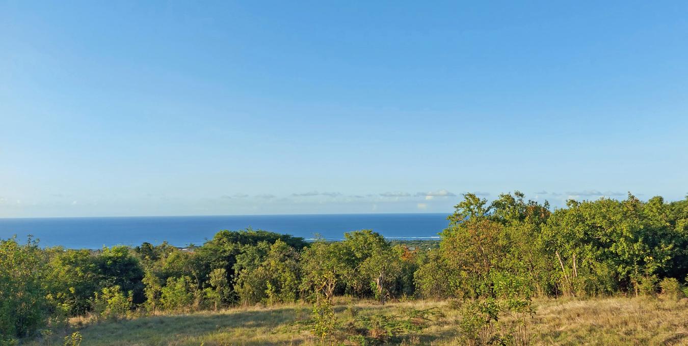 Mount Lily Land - 1.35 Acres Mount Lily Land - 1.35 Acres