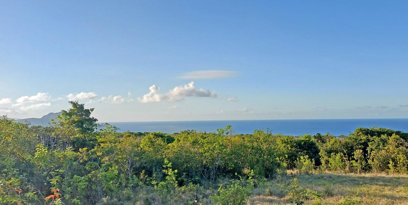 Mount Lily Land - 1.35 Acres Mount Lily Land - 1.35 Acres