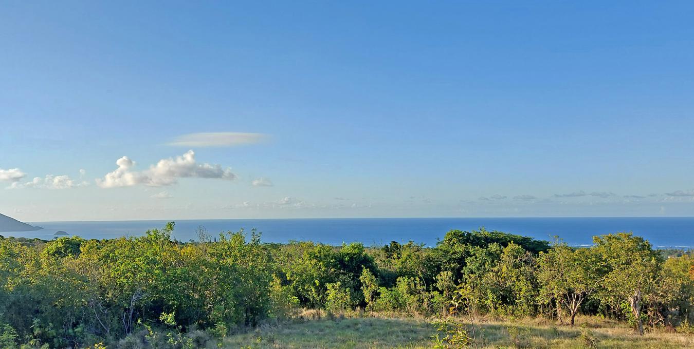 Mount Lily Land - 1.35 Acres Mount Lily Land - 1.35 Acres
