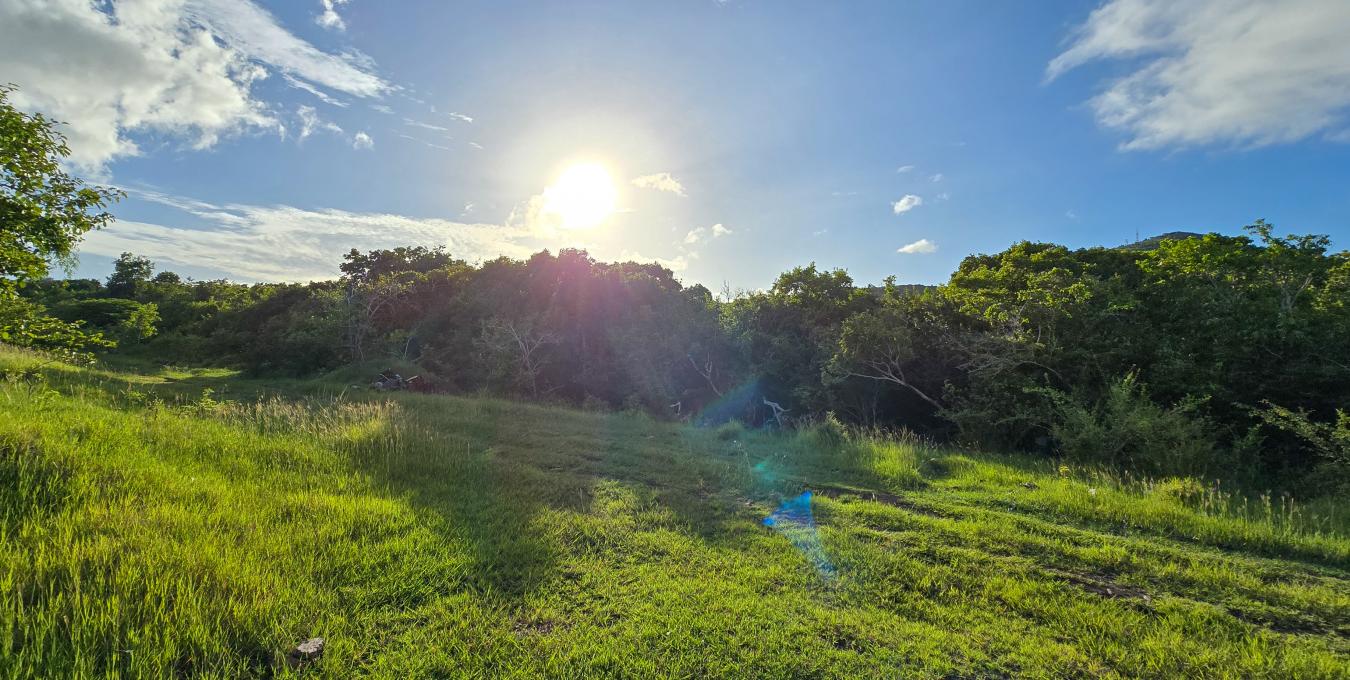 Shaws Estate Land Lot Shaws Estate Land Lot