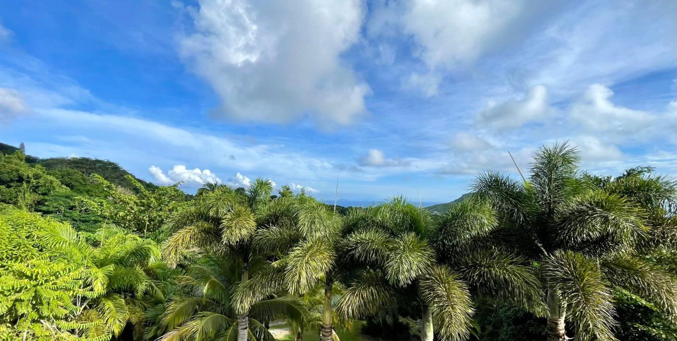 Zetland Zen Zetland Zen