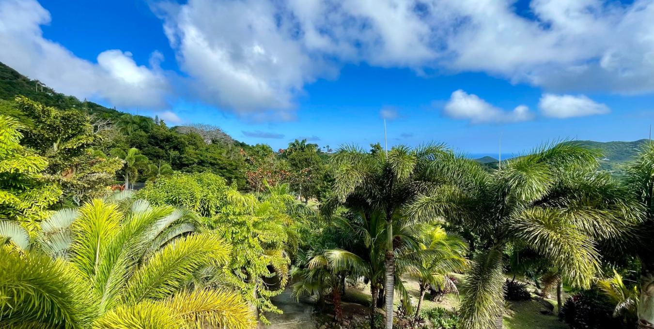 Zetland Zen Zetland Zen