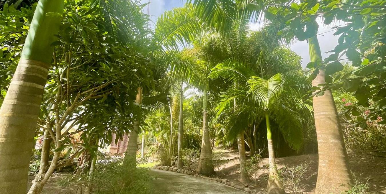 Zetland Zen Zetland Zen