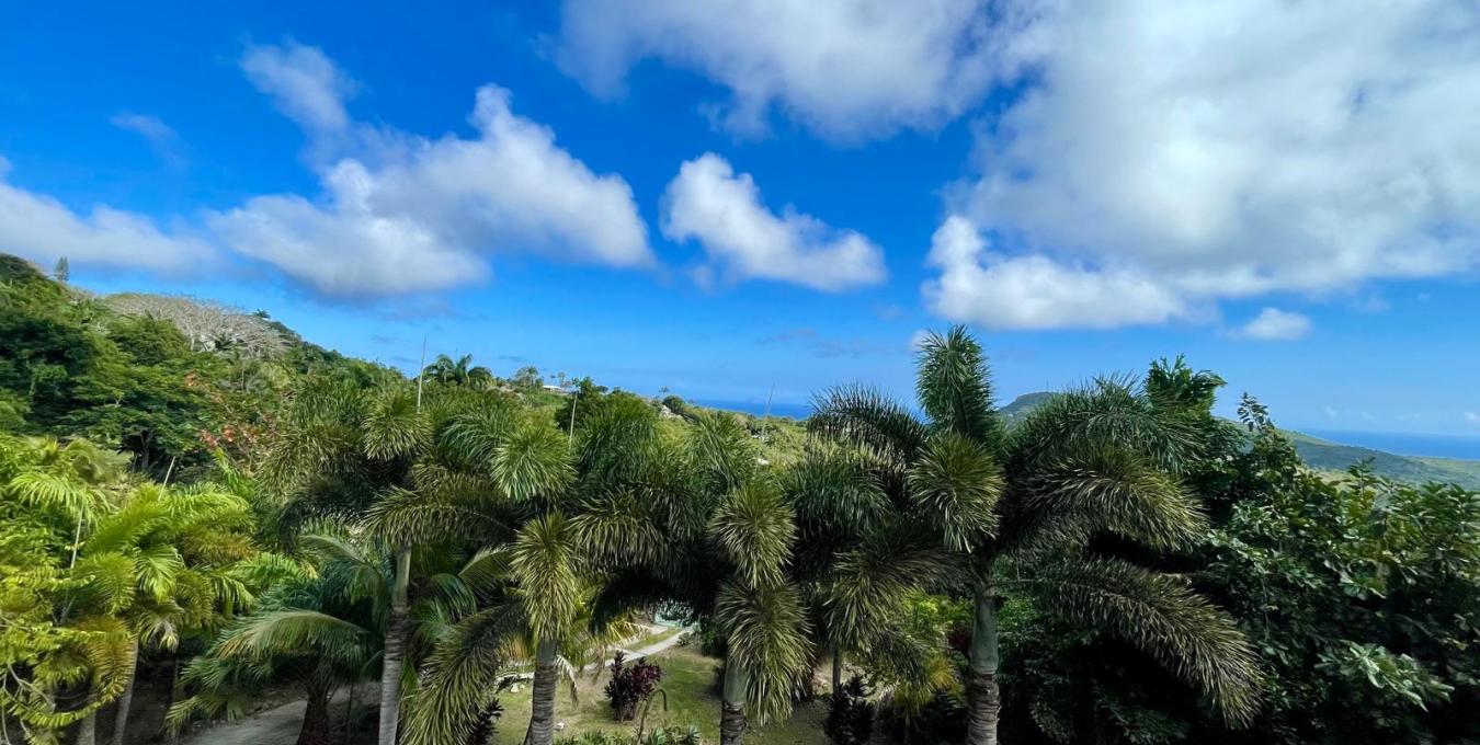 Zetland Zen Zetland Zen