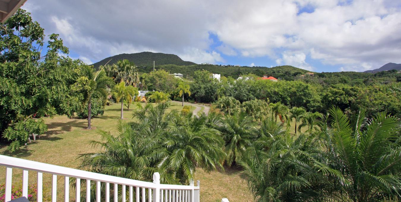 Foxtail Villa Foxtail Villa