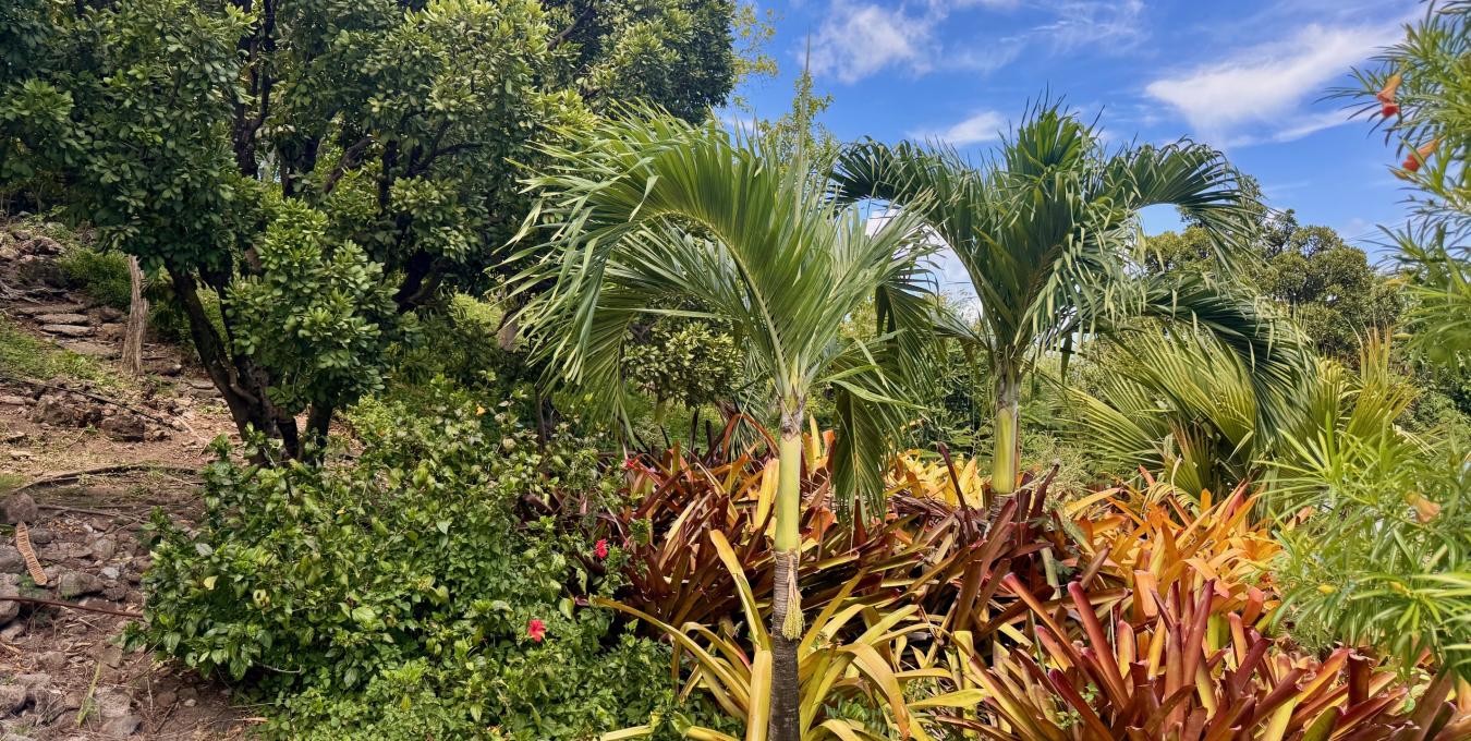 Sugar Bird Beach House Sugar Bird Beach House