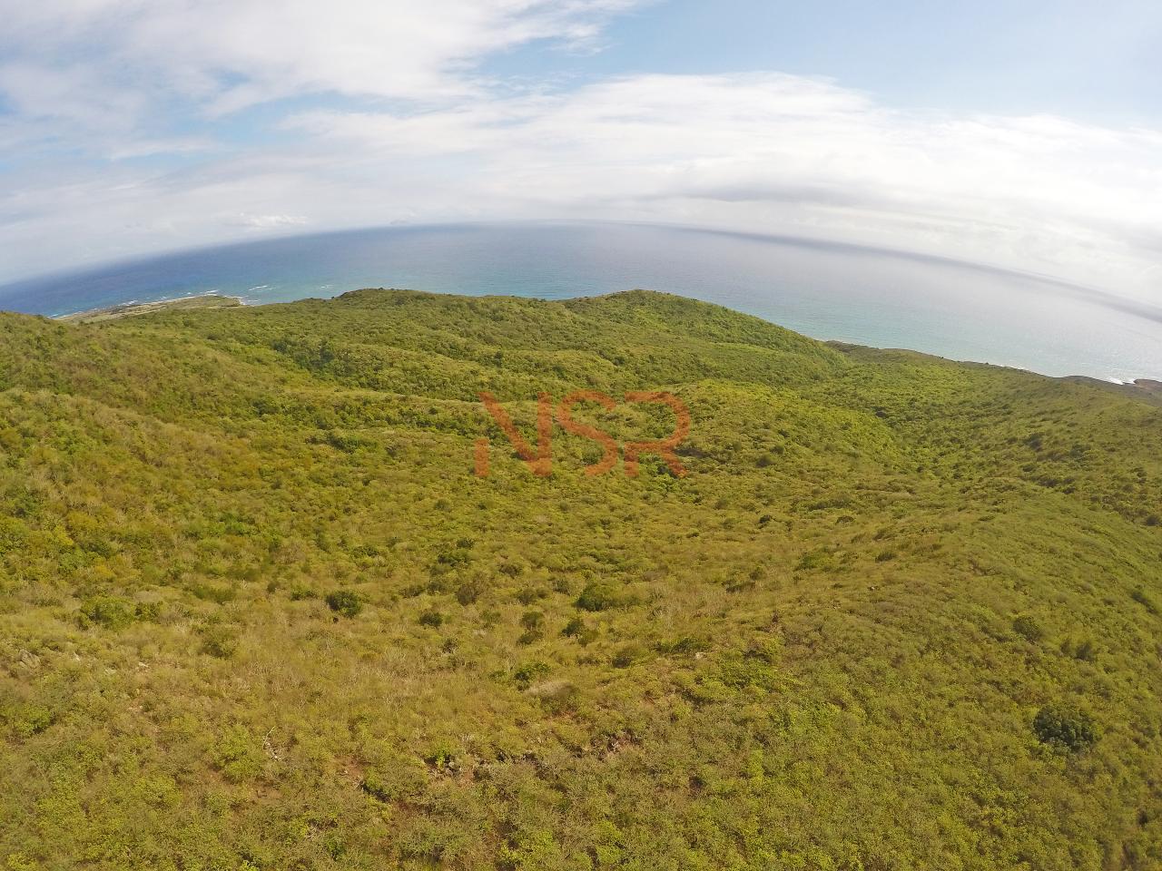 Morton Hill Estate Nevis Style Realty